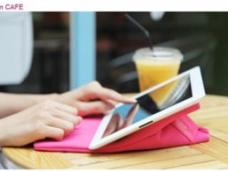 Все о женских чехлах для iPad 2